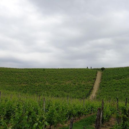 Gran Collina Villa San Damiano dʼAsti Eksteriør billede